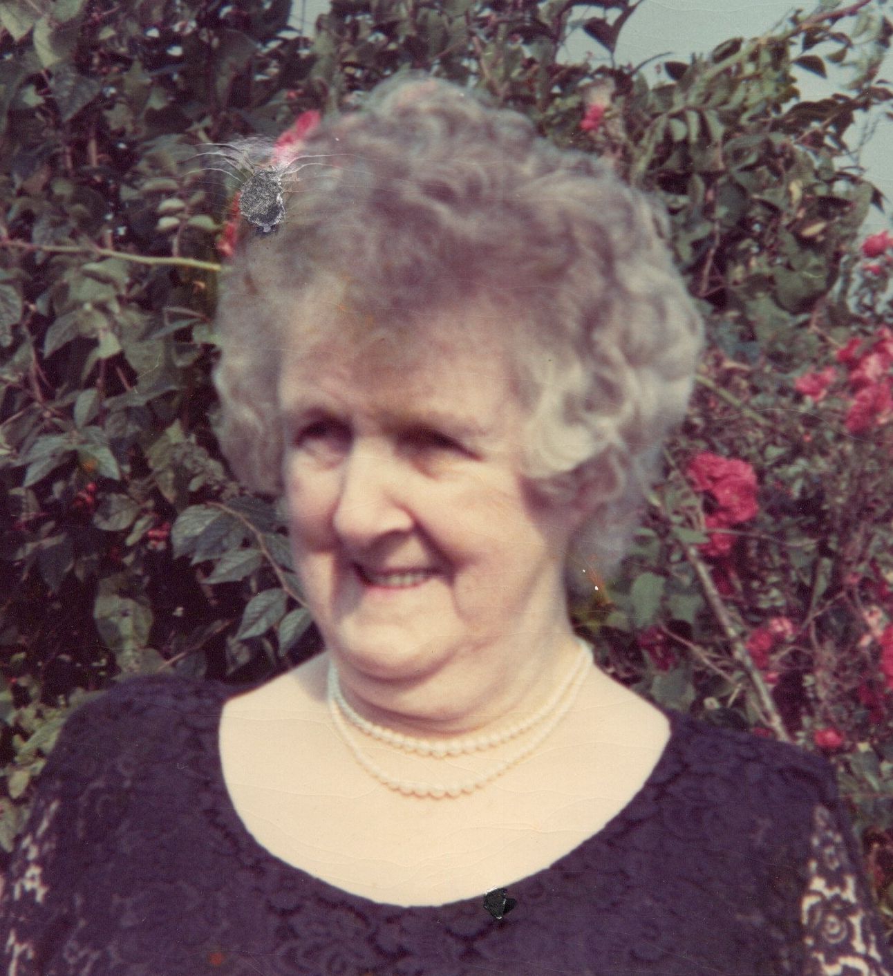 Bella (Devenney) Holmes